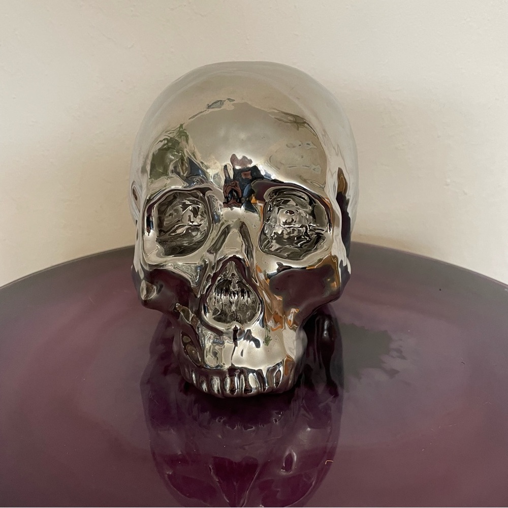 Z Gallery Silver Metallic Skull